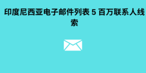 印度尼西亚电子邮件列表 5 百万联系人线索