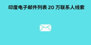 印度电子邮件列表 20 万联系人线索