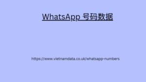 WhatsApp 号码数据