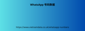  WhatsApp 号码数据 