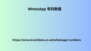 WhatsApp 号码数据