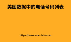 美国数据中的电话号码列表