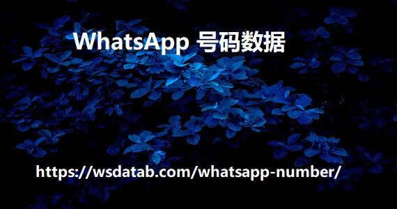 WhatsApp 号码数据