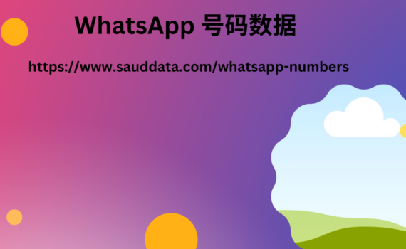 WhatsApp 号码数据